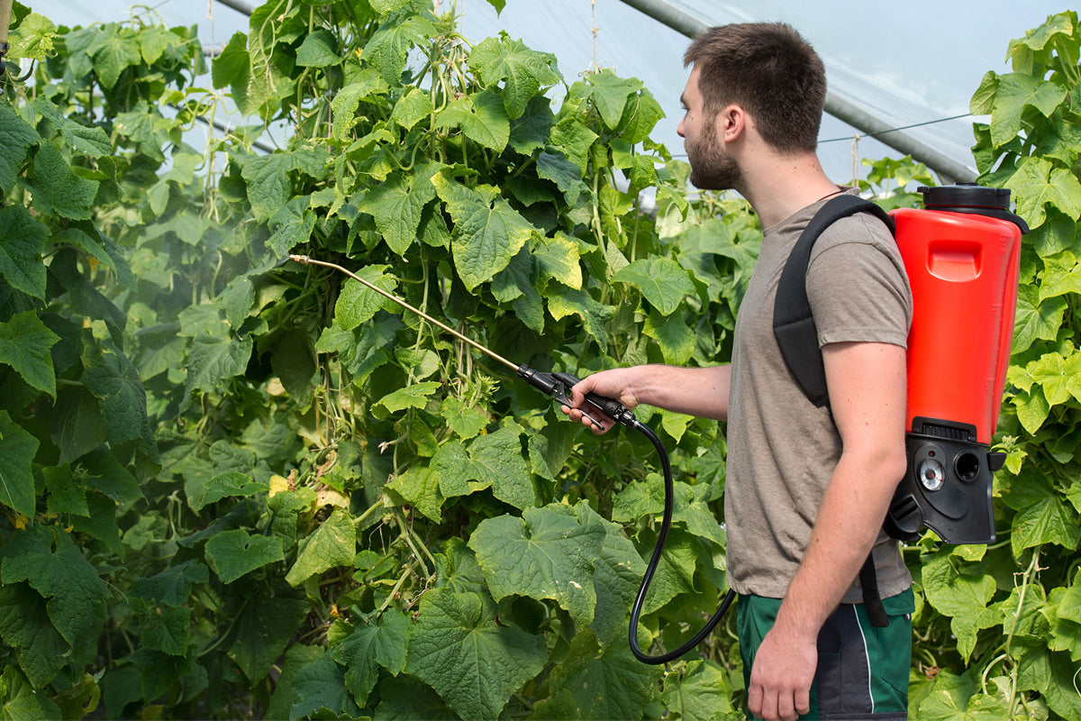 REB 15 Cas, Backpack Sprayer (15 Liter)
