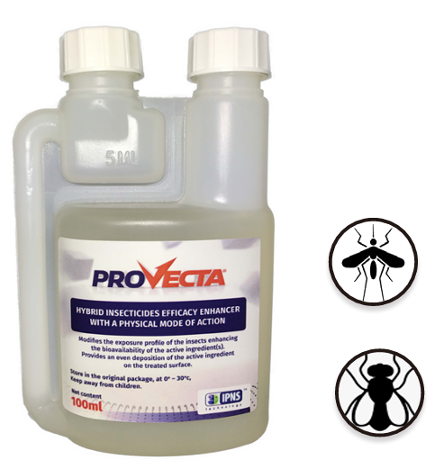 Provecta