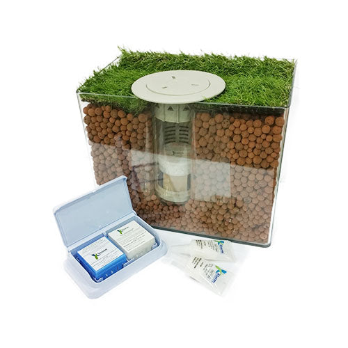 X-Term Termite Baiting System
